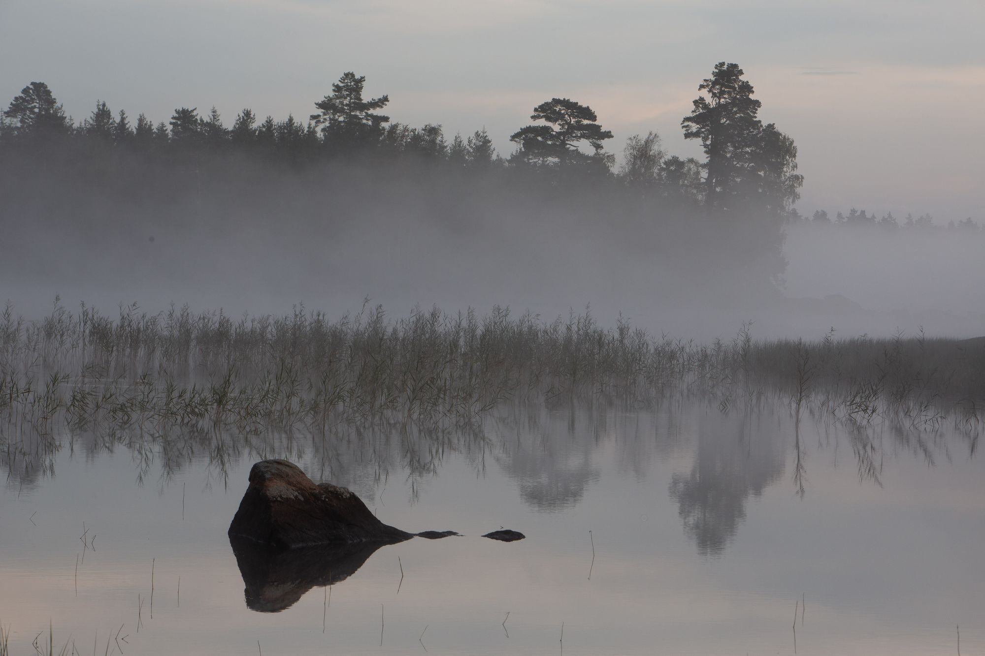 Stuga i Nässjö med 4 bäddar #28714 – bild 14 av 21
