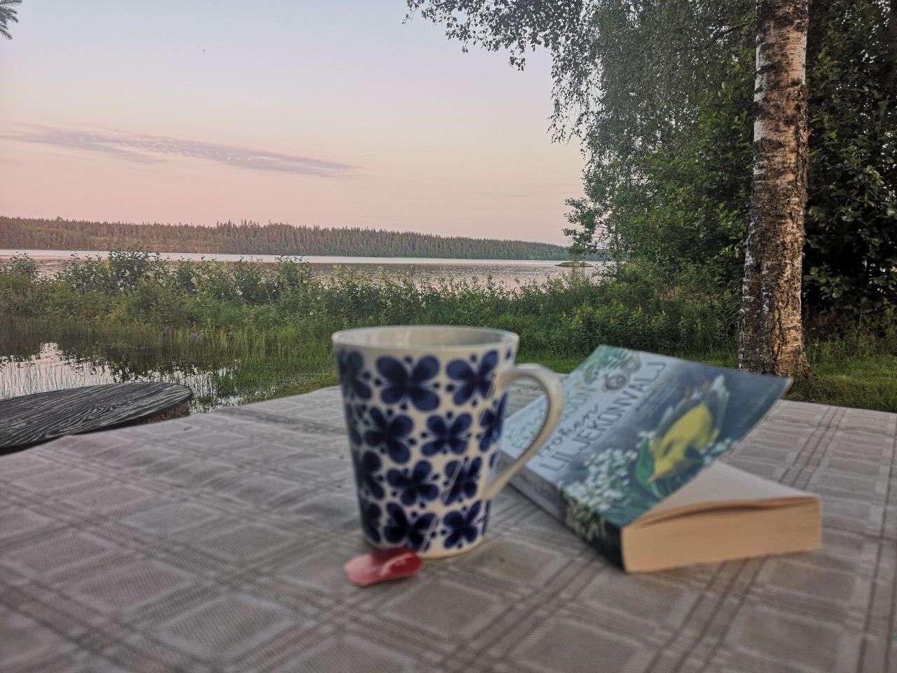 Stuga i Nässjö med 4 bäddar #28714 – bild 3 av 21