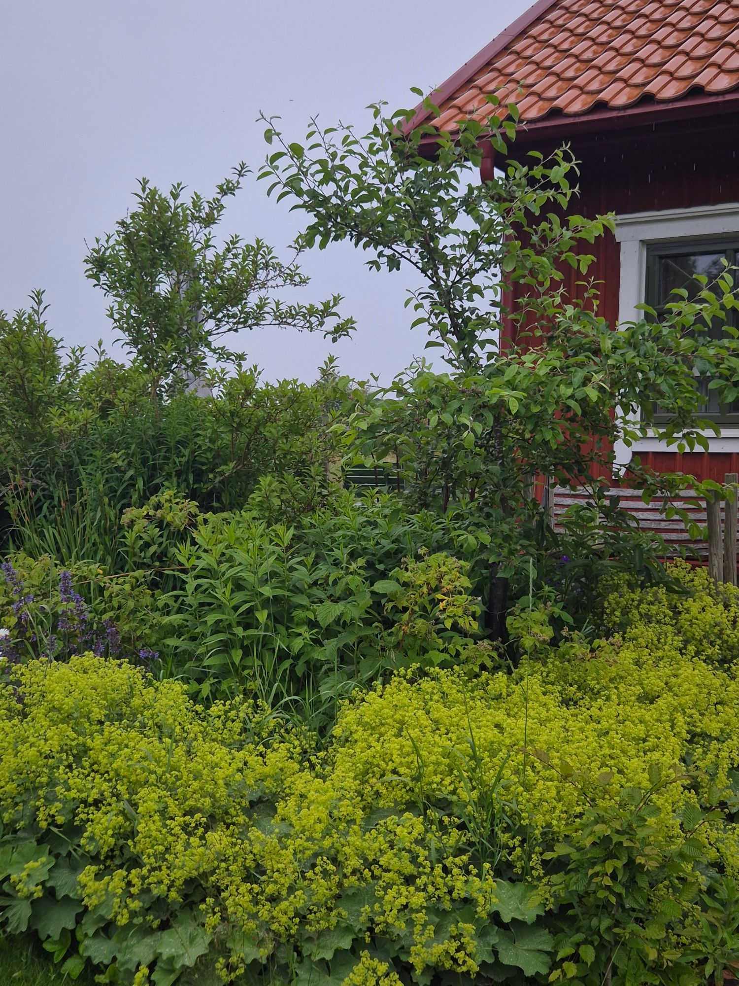 Kålgårdsstugan – bild 2 av 24