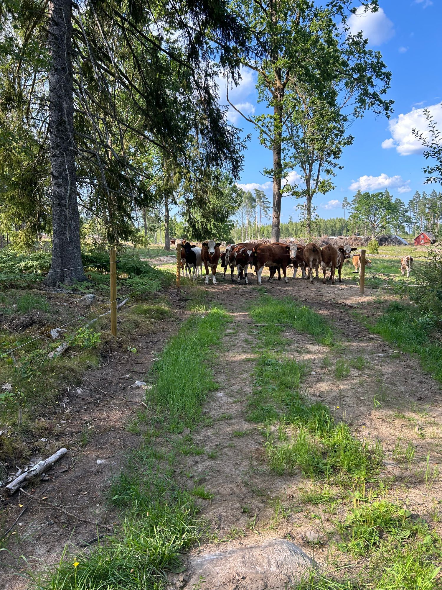 Liten gård – bild 16 av 18