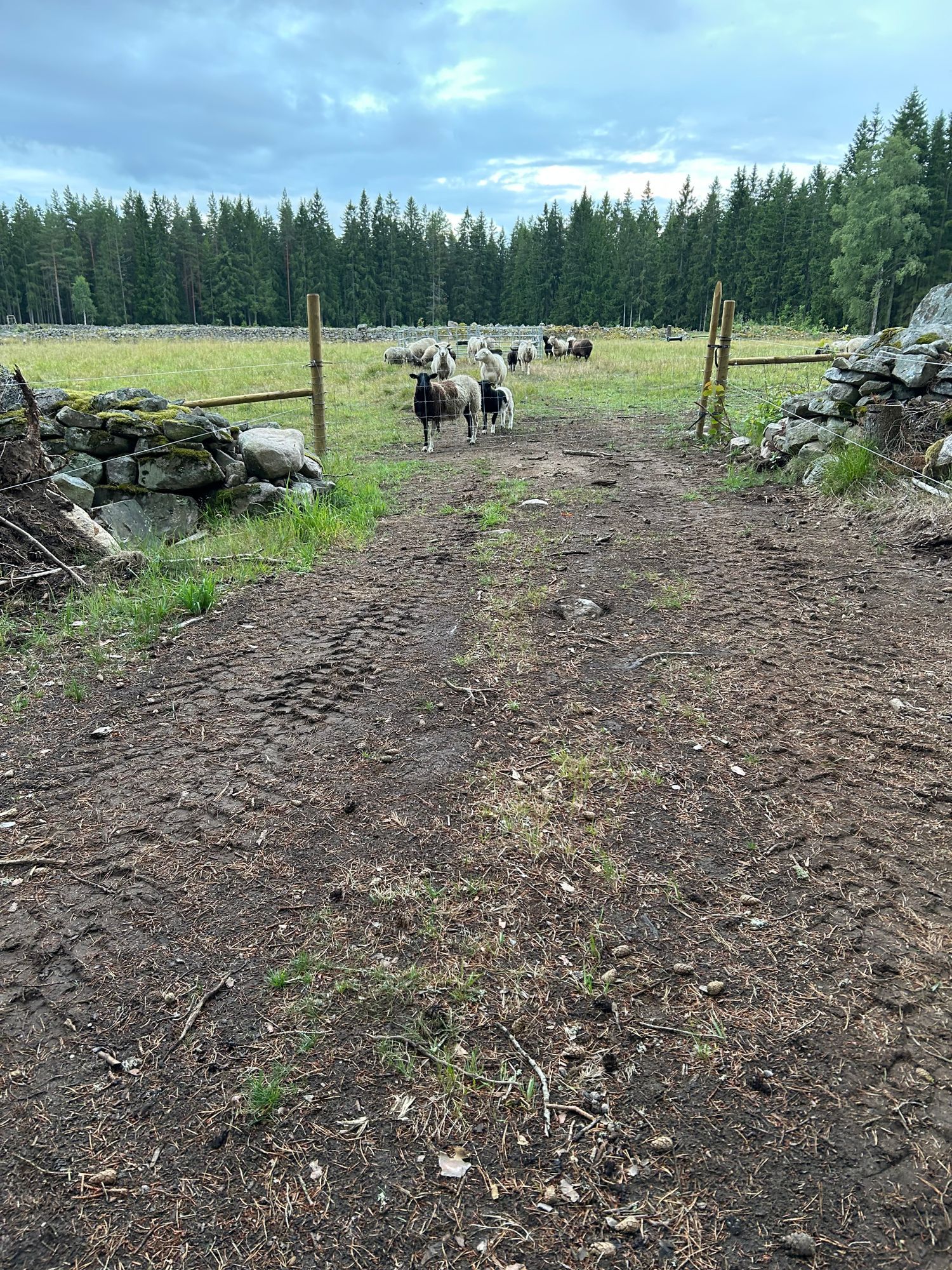 Liten gård – bild 12 av 18