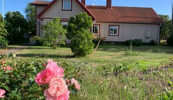 Strandnära hus på Hasslö