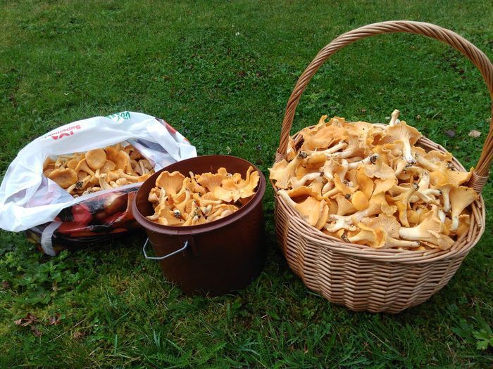 Stuga i trolska Bergslagen – bild 16 av 19