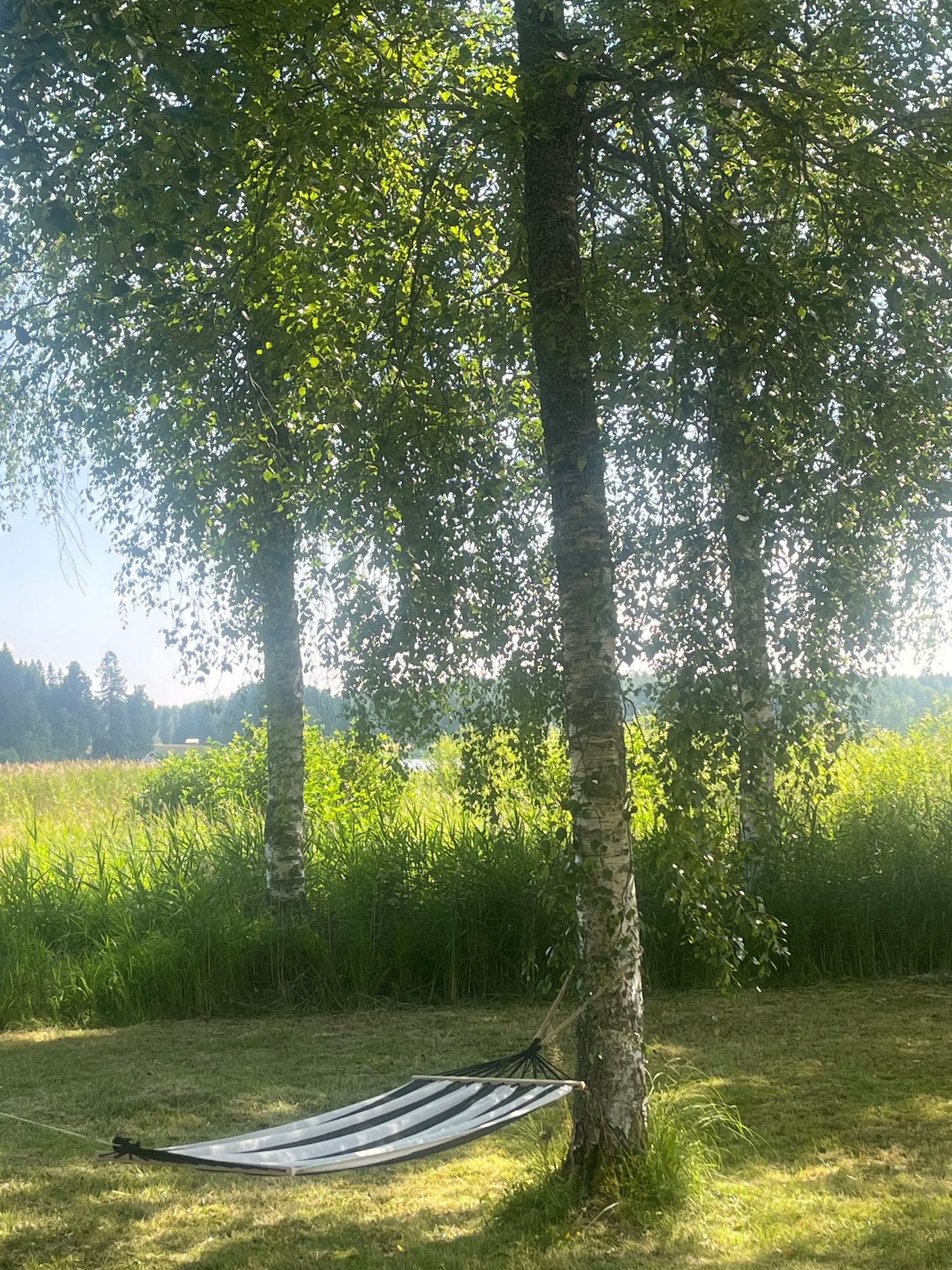 Sjönära fritidshus i lugna omgivningar – bild 3 av 24