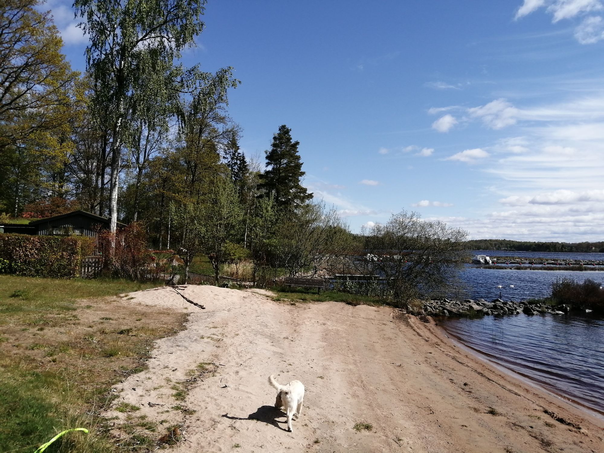 Naturnära semesterhus i Småland vid sjön Möckeln – bild 18 av 18