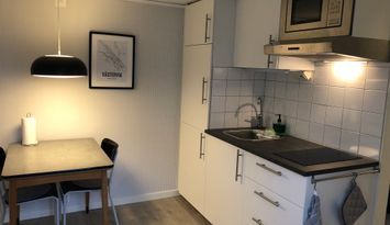 Gårdshus centralt i Västervik uthyres veckovis