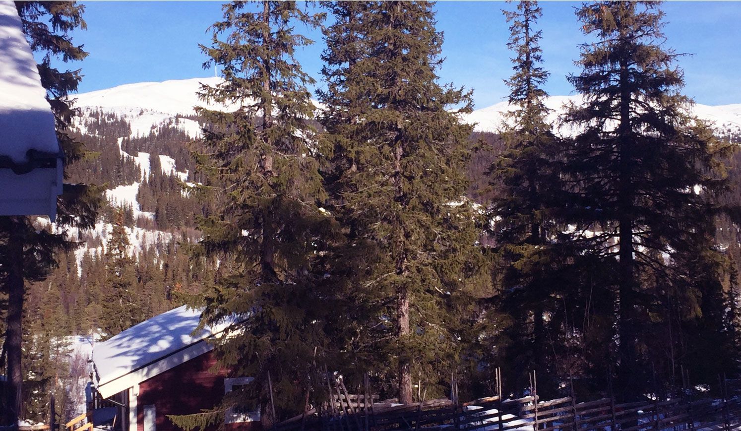 Stuga i Höglekardalen/Bydalsfjällen uthyres – bild 12 av 22
