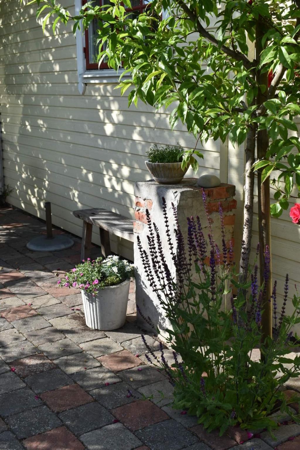 Mysig stuga i centrala Borgholm – bild 15 av 19