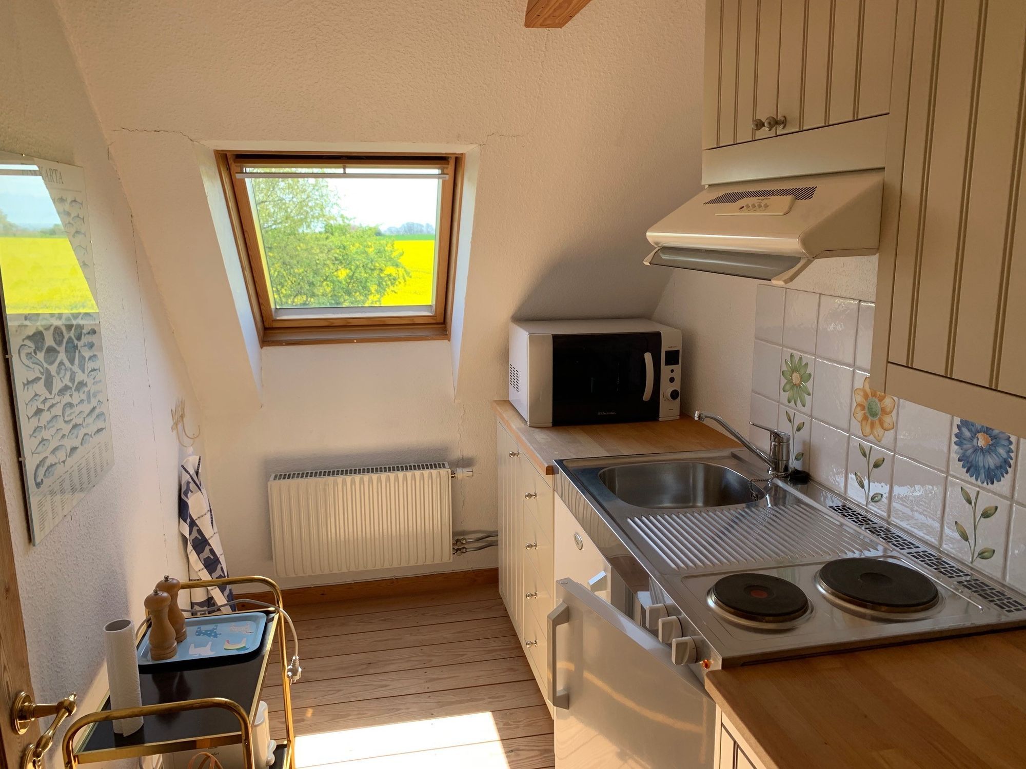 Österlen - fantastisk utsikt med fält och hav – bild 11 av 12