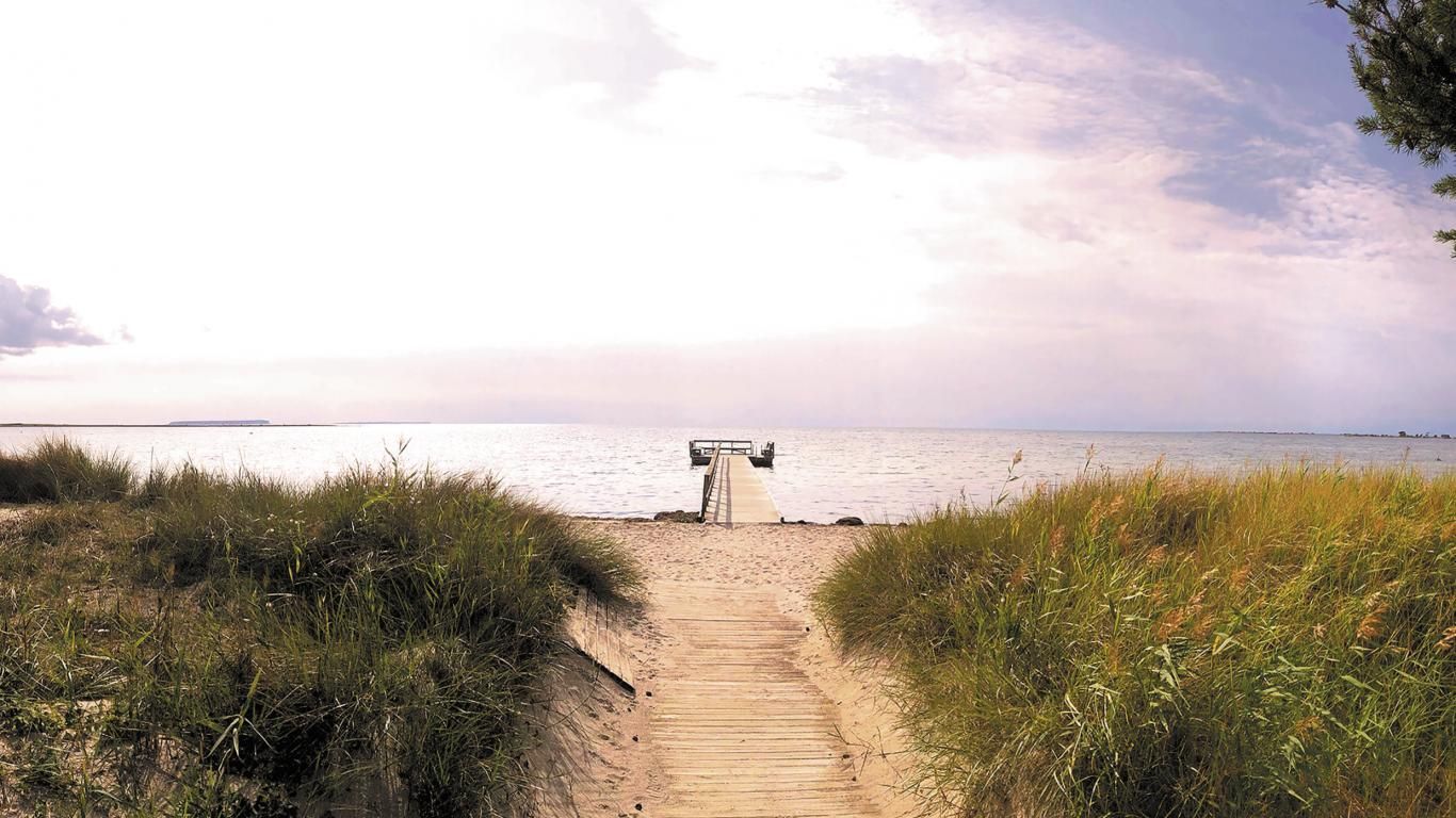 Mysigt skogshus nära havet med elbilsladdning – bild 16 av 19